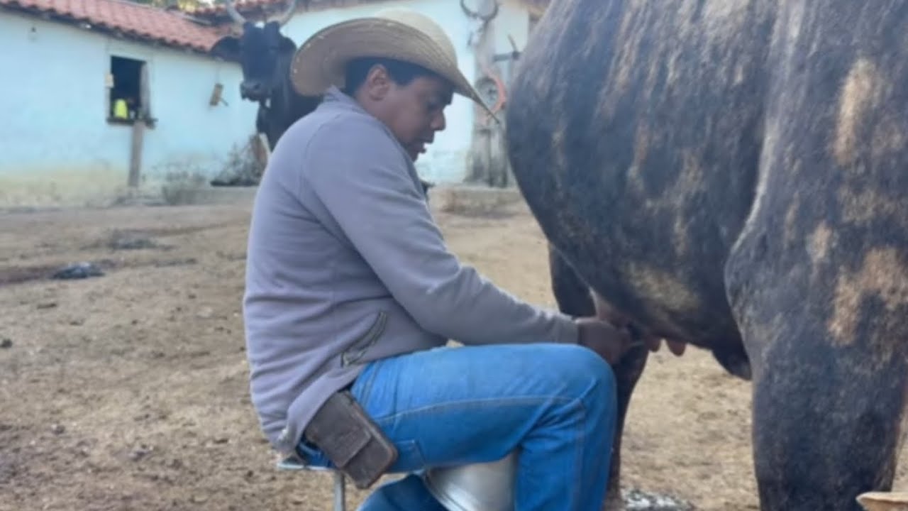 ELE VIVE A MODA ANTIGA NO MEIO DAS MONTANHAS DA SERRA DA CANASTRA E TIRA LEITE @Pedro_rodrigues_3