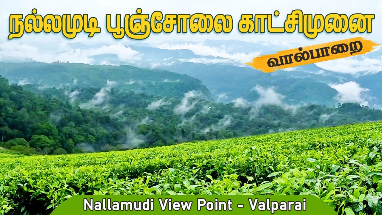 ⛰️வால்பாறை சுற்றுலா - நல்லமுடி பூஞ்சோலை காட்சிமுனை | Nallamudi View point | Valparai | gptamil vlogz