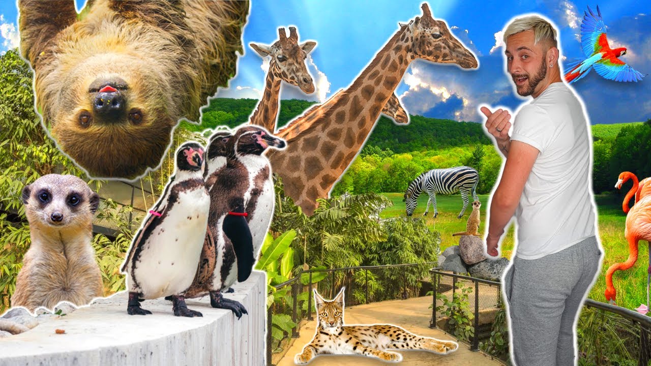 We Went To Marwell Zoo For The 1st Time & It Was Absolutely Amazing