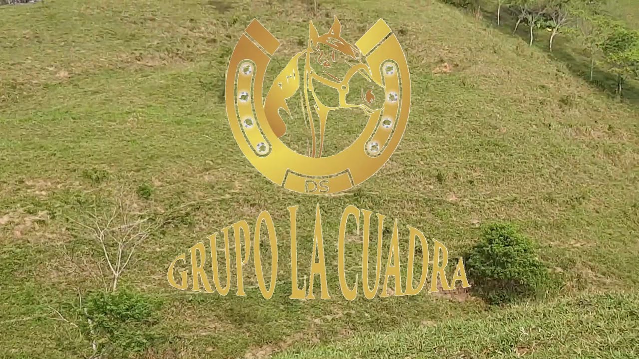 Los principios - Grupo La Cuadra