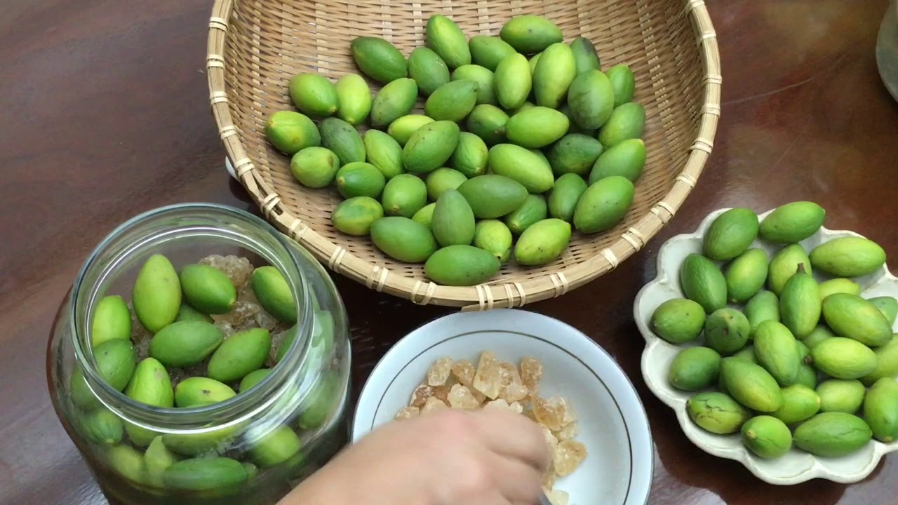 台灣土橄欖做成「橄欖酵素、橄欖酒」