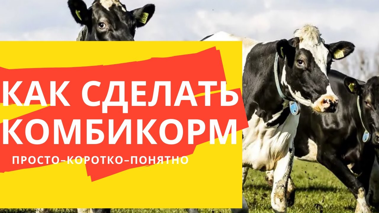 как делать комбикорм  Просто коротко понятно  Александр Гальцов
