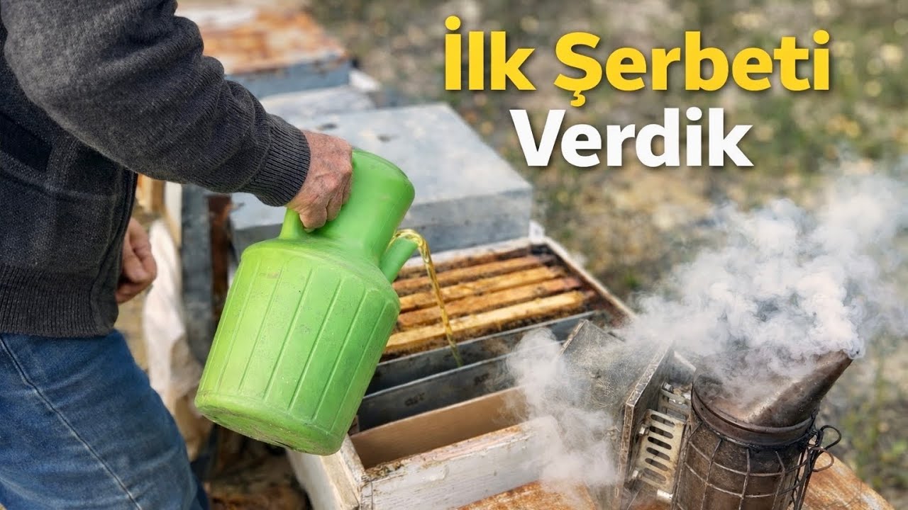 Havalar Isındı! Arılara İlk Şerbeti Verdik 🐝 Bahar Beslemesi