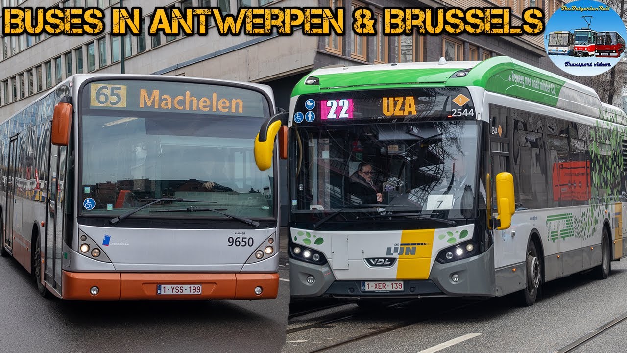 Buses in Antwerpen & Brussels 🚌🇧🇪