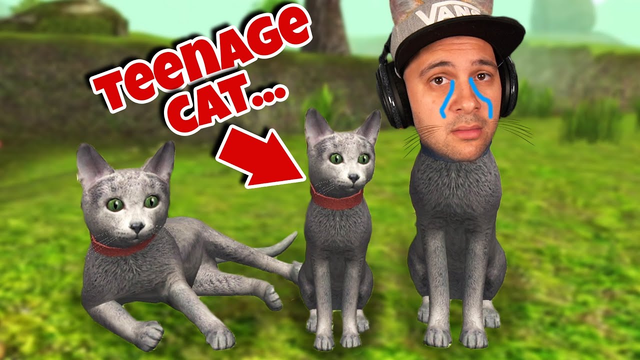 Мой котёнок уже подросток... | Cat Simulator 2020