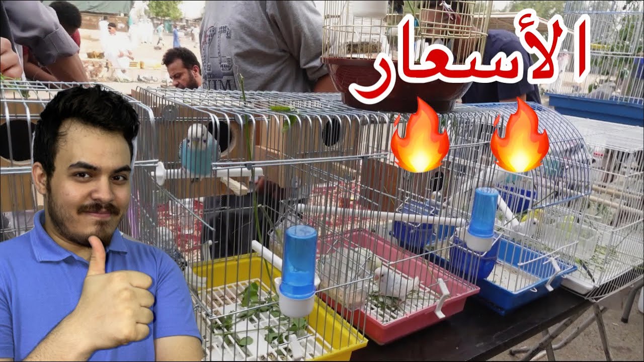 سوق الطيور والحيوانات في مدينة جدة | سوق الخمره