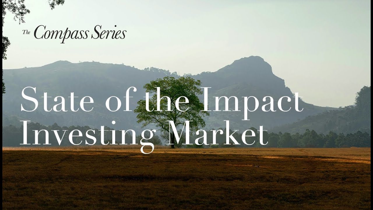 Tideline Compass Series | State of the Impact Investment Market 2025