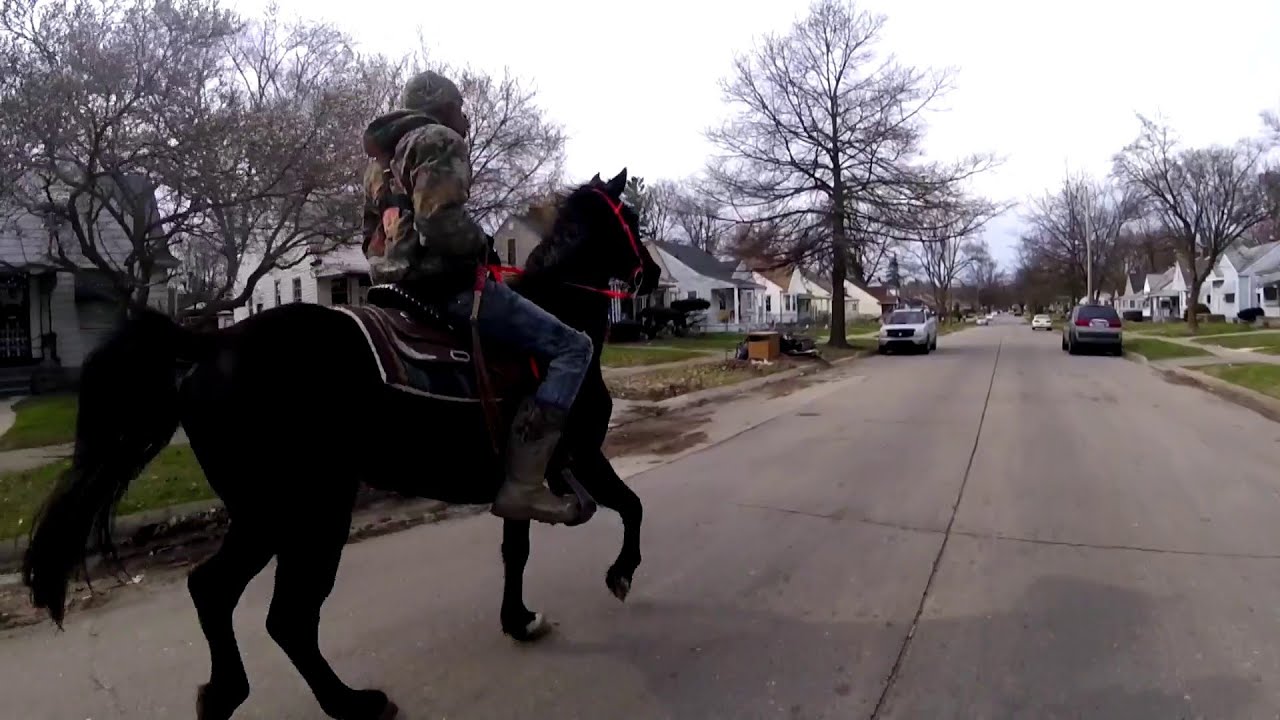 Detroit's urban cowboy turns heads on horseback