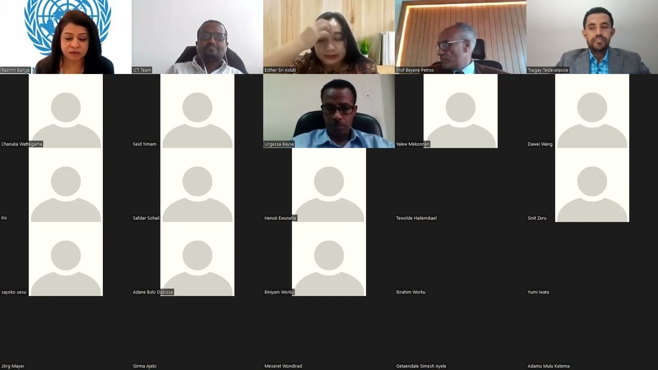 Webinar on digital transformation of Ethiopia (04/02/2022)