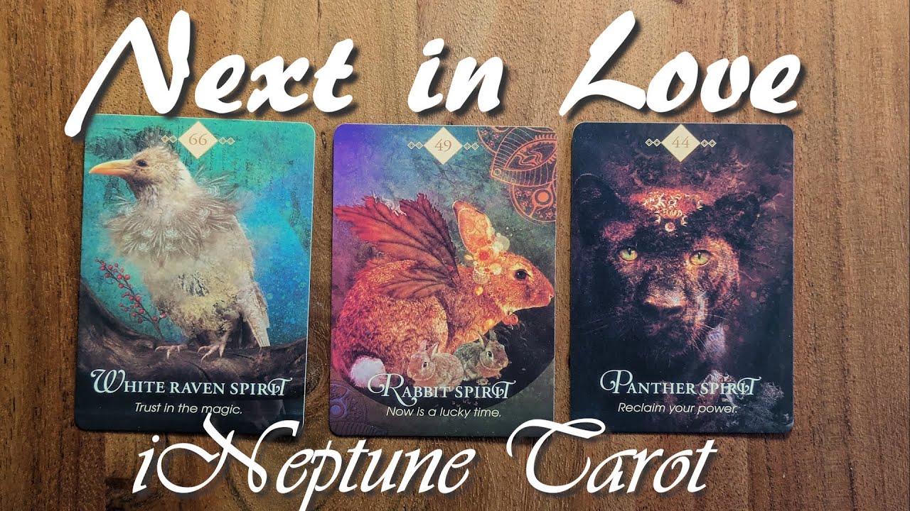 💖💖 NEXT IN LOVE 💖💖 Pick a Card Tarot Reading ⏰ Timeless