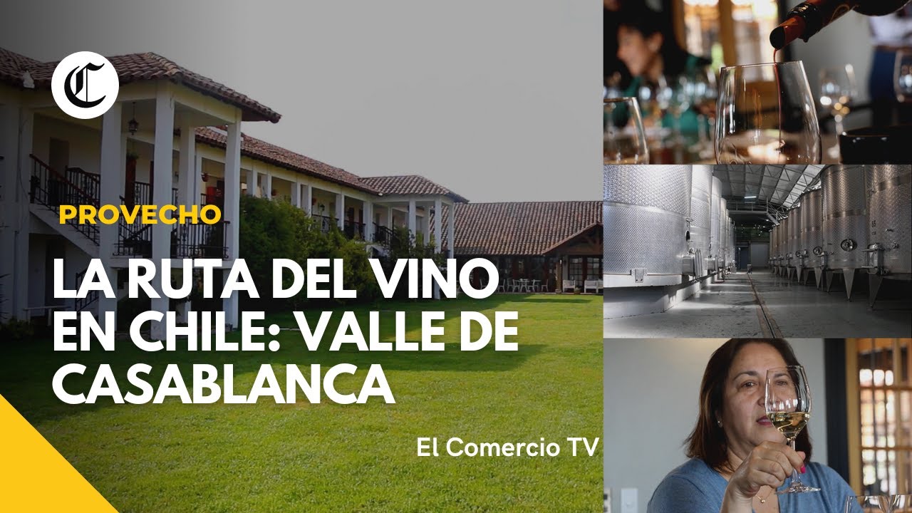 Recorre la ruta del Vino en Chile: Conoce las variedades de Uva en Casablanca #Prov #VideosEC