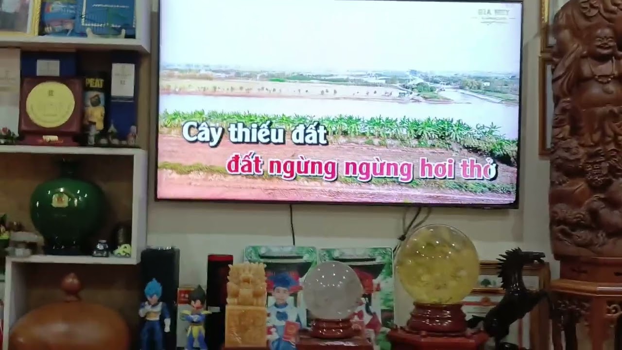 Tình cây và đất Tb Tân Thanh 