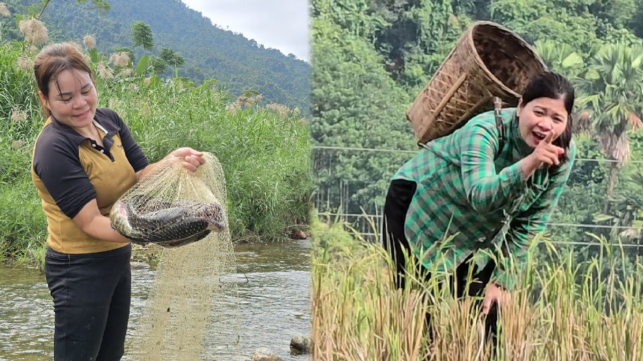 Sua was jealous when she saw Dao catch many big fish, so she secretly followed Dao.