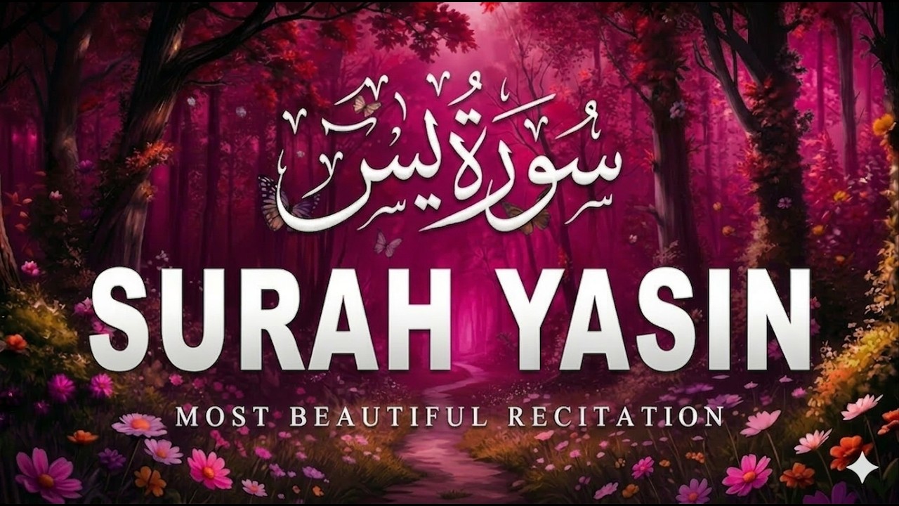 🔴 LIVE: Listen to Surah Yasin for Peace, Barakah & Forgiveness | Beautiful Quran Recitation