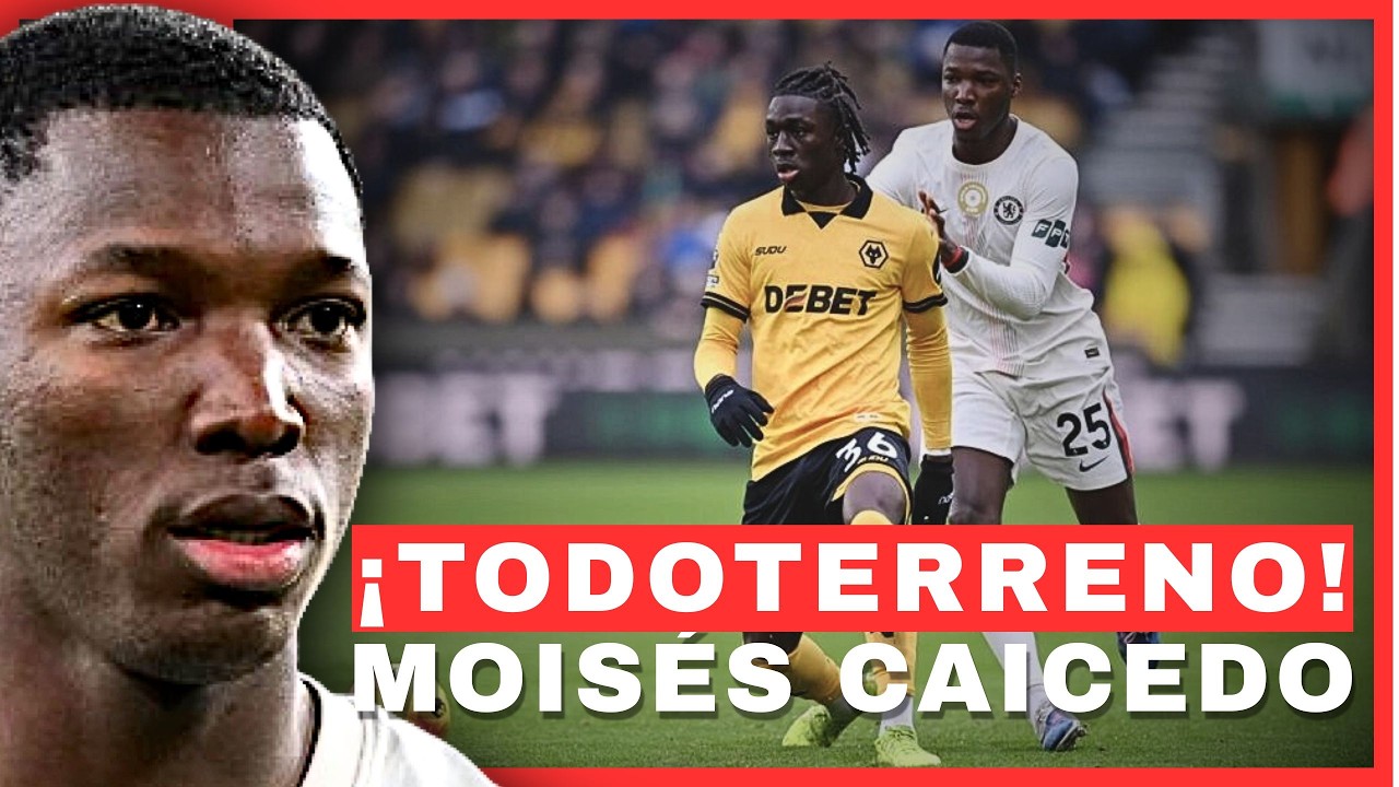 ¡TODOTERRENO! Así jugó Moisés Caicedo vs Wolves