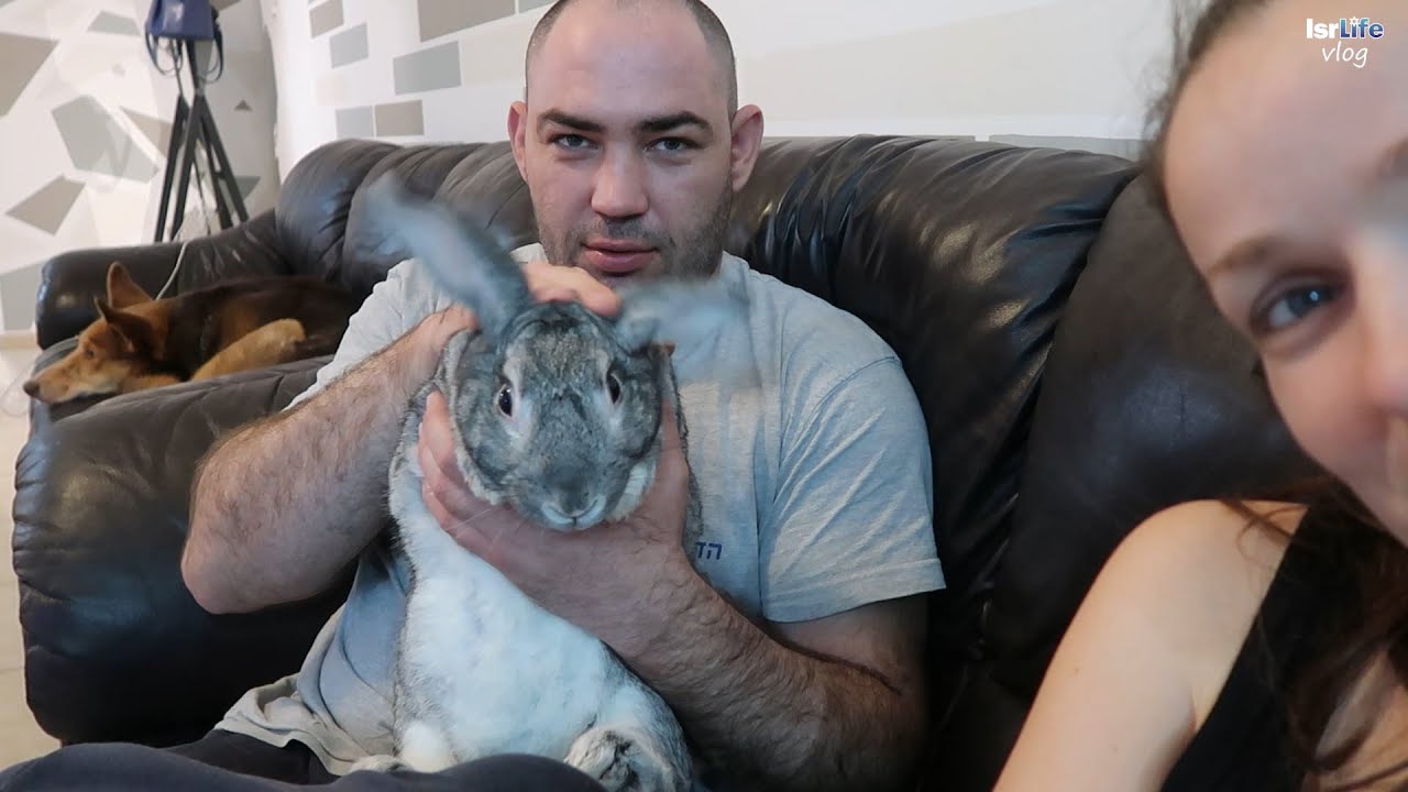 РЕЗУЛЬТАТЫ ТОГО, ЧТО ВСЯ СЕМЬЯ НА КАРАНТИНЕ! - Vlog
