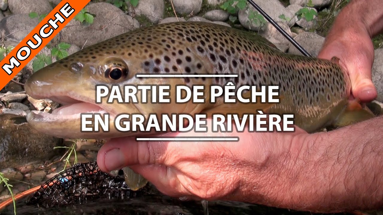 PÊCHE de la TRUITE à la MOUCHE en GRANDE RIVIÈRE