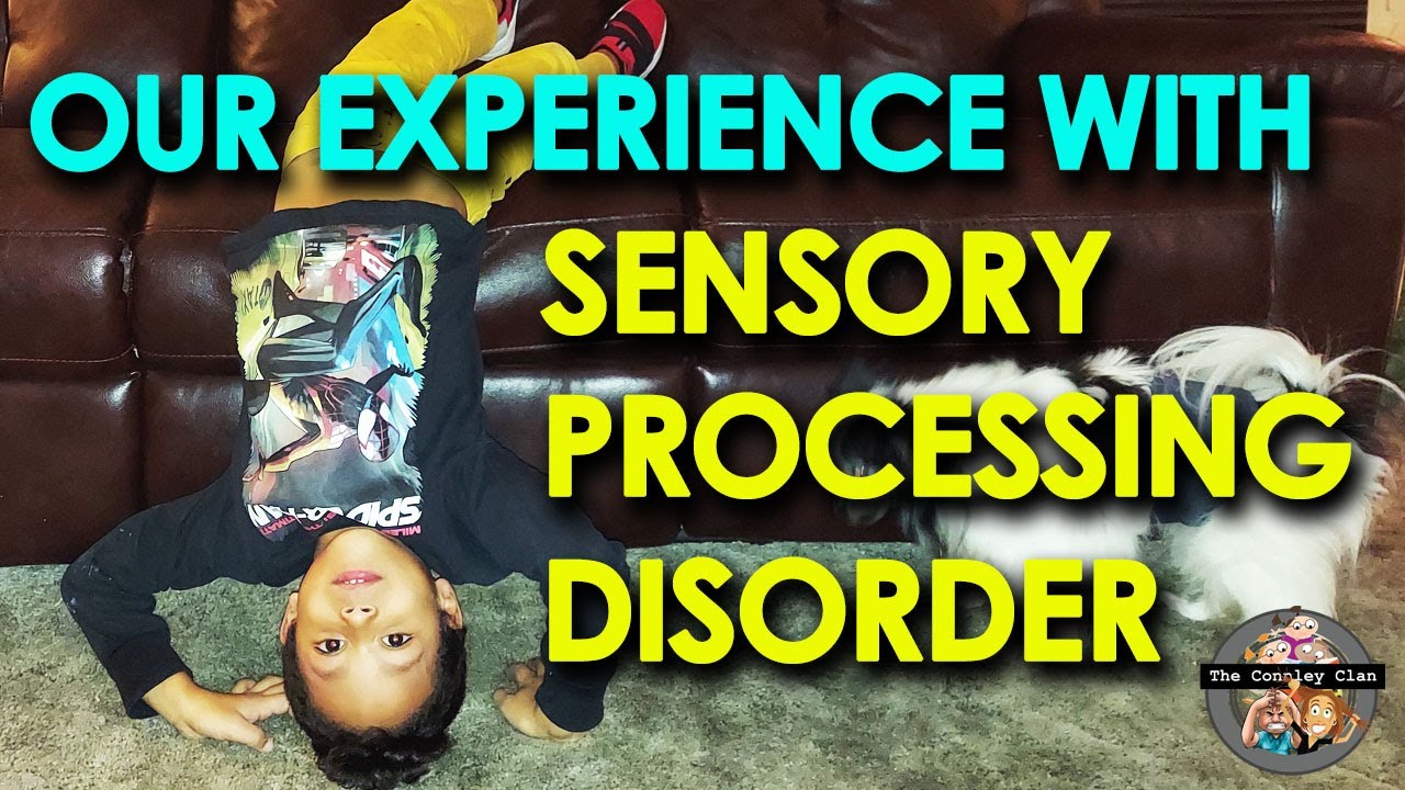 Our Experience with Sensory Processing Disorder
