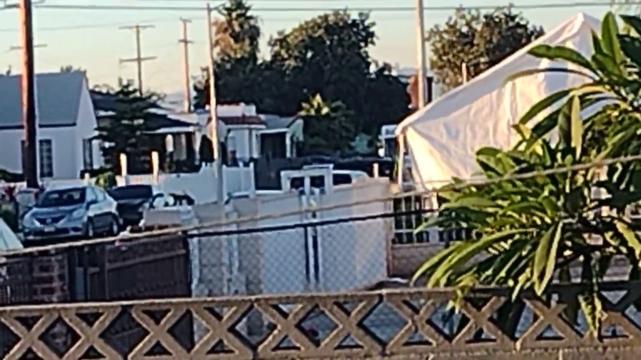 OUR HELLO PICNIC LOCAL WITH DECORATIONS OF SUPER MARIO BROS SOFT SERVE ICE CREAM TRUCK IS BACK AGAIN