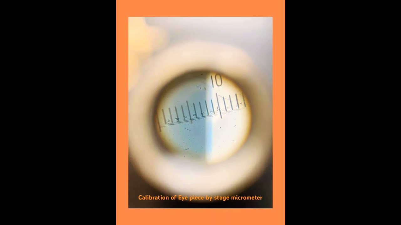 Calibration of Eye piece micrometer by stage micrometer.#youtubeshorts youtubeshorts#pharmacy