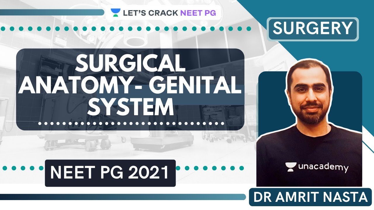 Surgical Anatomy- Urology | Surgery for Medical PG/NEET PG/NEXT | Dr Amrit Nasta