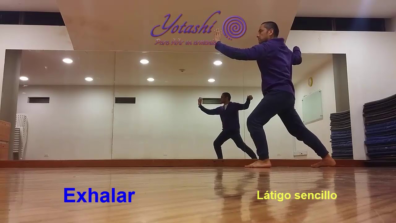 Forma 24 de tai chi estilo yang, en espejo, con nombres y pautas de respiración