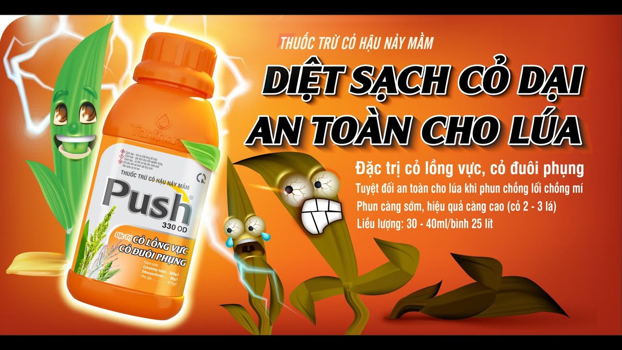 PUSH 330-OD  Thuốc Trừ Cỏ Hậu Nảy Mầm Cỏ Lồng Vực, Đuôi Phụng, An Toàn Tuyệt Đối Cho Lúa | AnBIO.vn