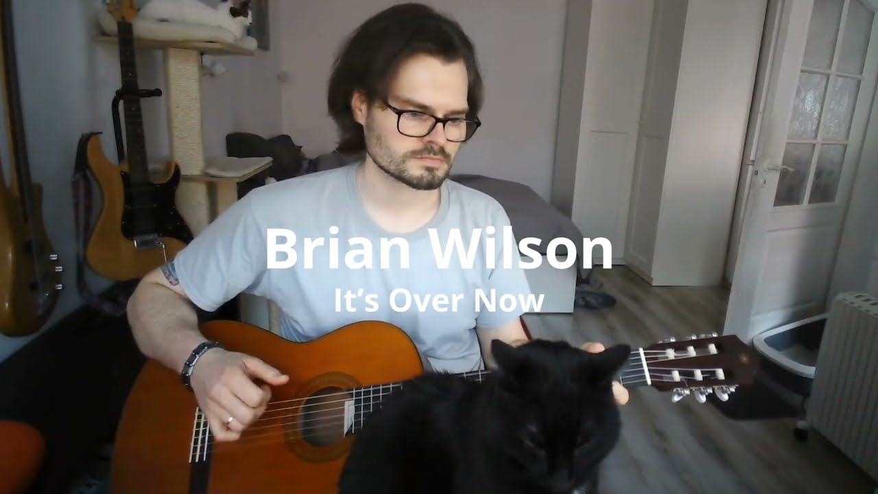 Brian Wilson (The Beach Boys) – It's Over Now | Guitar Cover