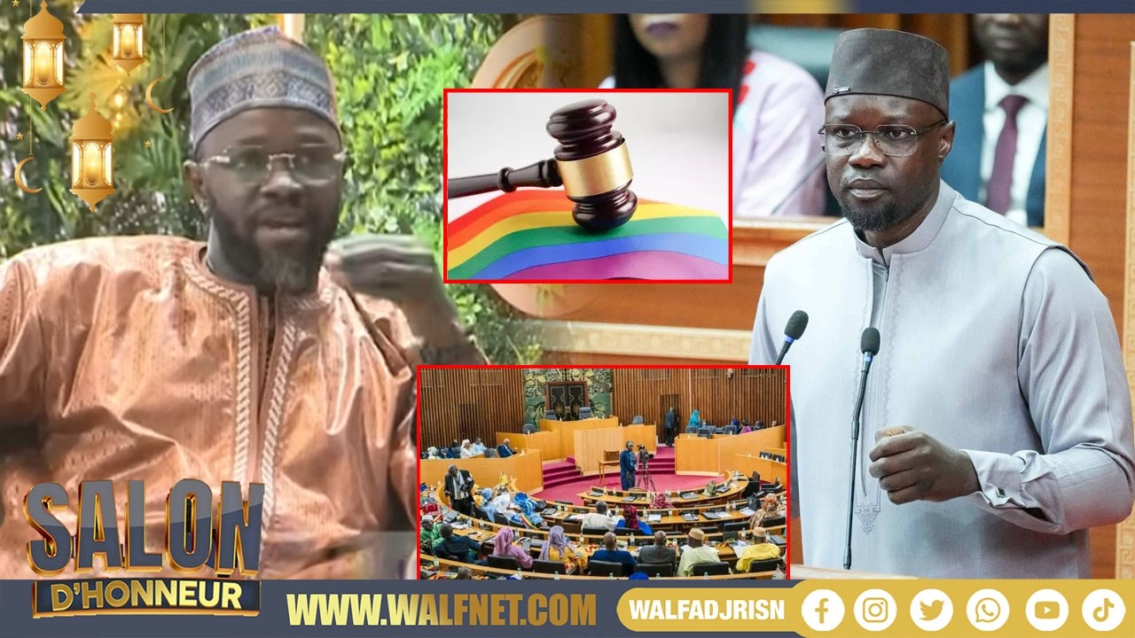 Loi Sur l’homosexualité : Le Témoignage Puissant De Mbacké Sylla Sur Ousmane Sonko
