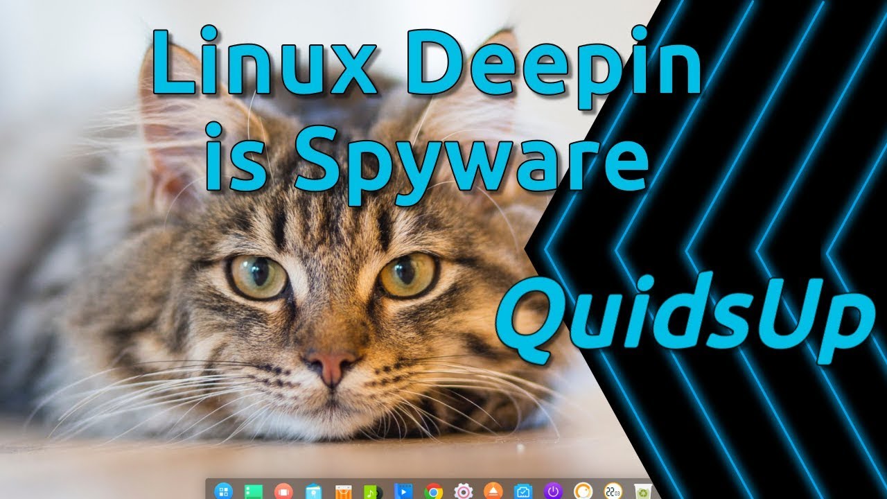 Linux Deepin Is Spyware