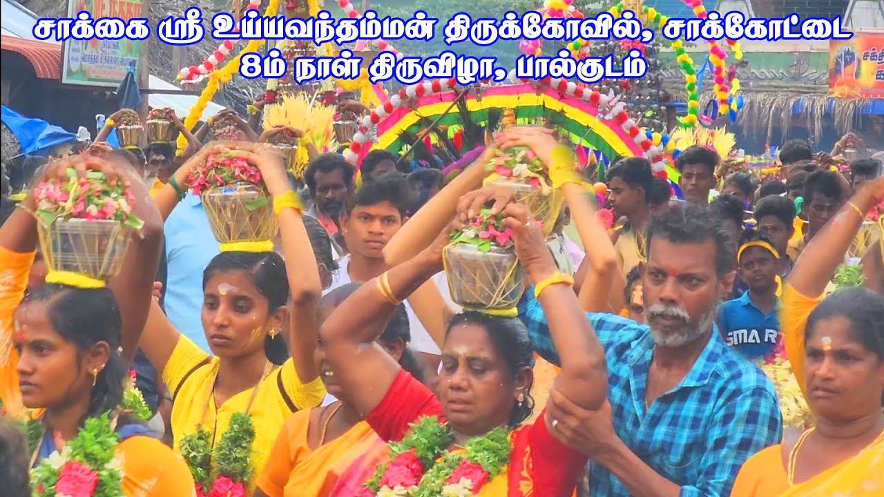 சாக்கோட்டை உய்யவந்தம்மன் கோவில் பால்குடம் | Sakkottai uyyavanthamman kovil paalkudam | Local Media