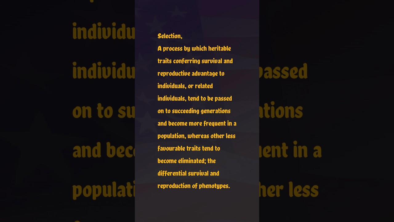 Selection Pronunciation & Meaning American English