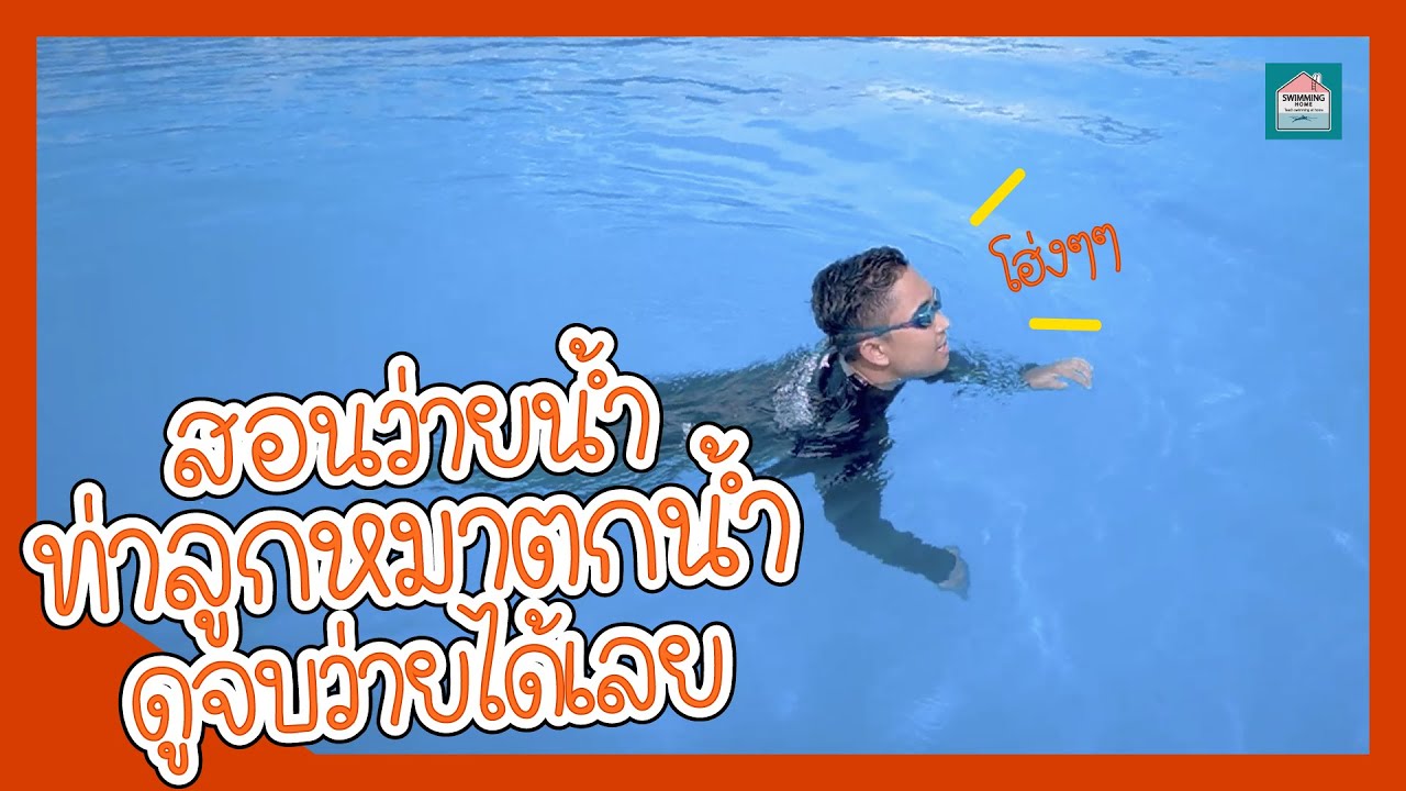 สอนว่ายน้ำท่าลูกหมาตกน้ำแบบง่ายๆ How to Dog Paddle