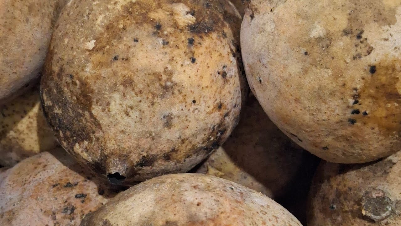 Quem gosta de um suco de Jenipapo ?