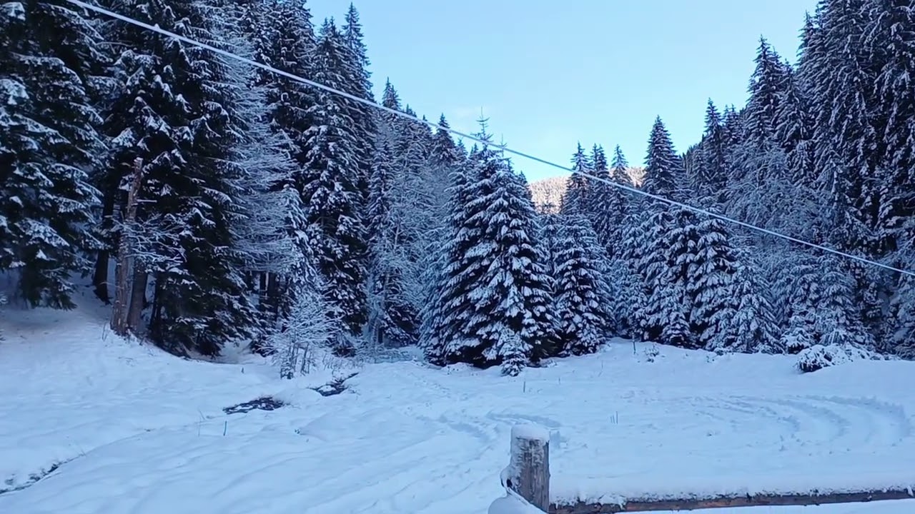 Cabana Voina-CabanaCuca.Frumusetea iernii