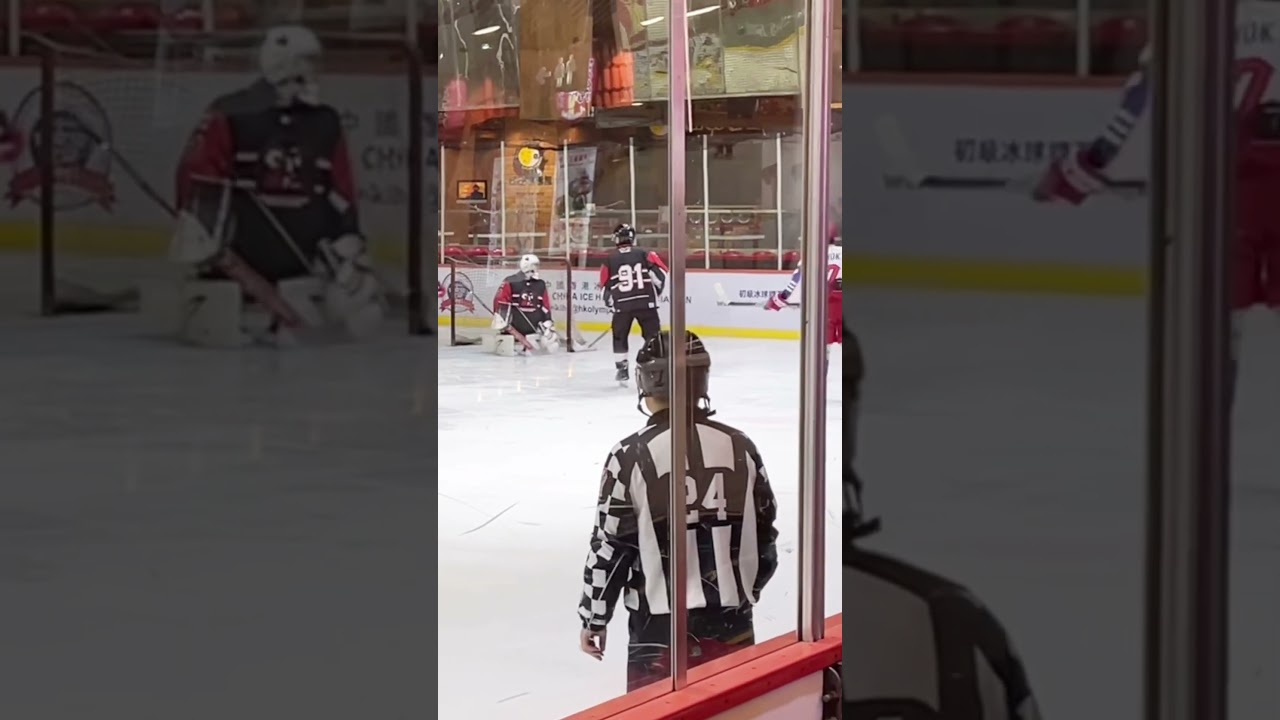 Goals Highlight 02-07-2024 #hkahl #icehockey #megaice