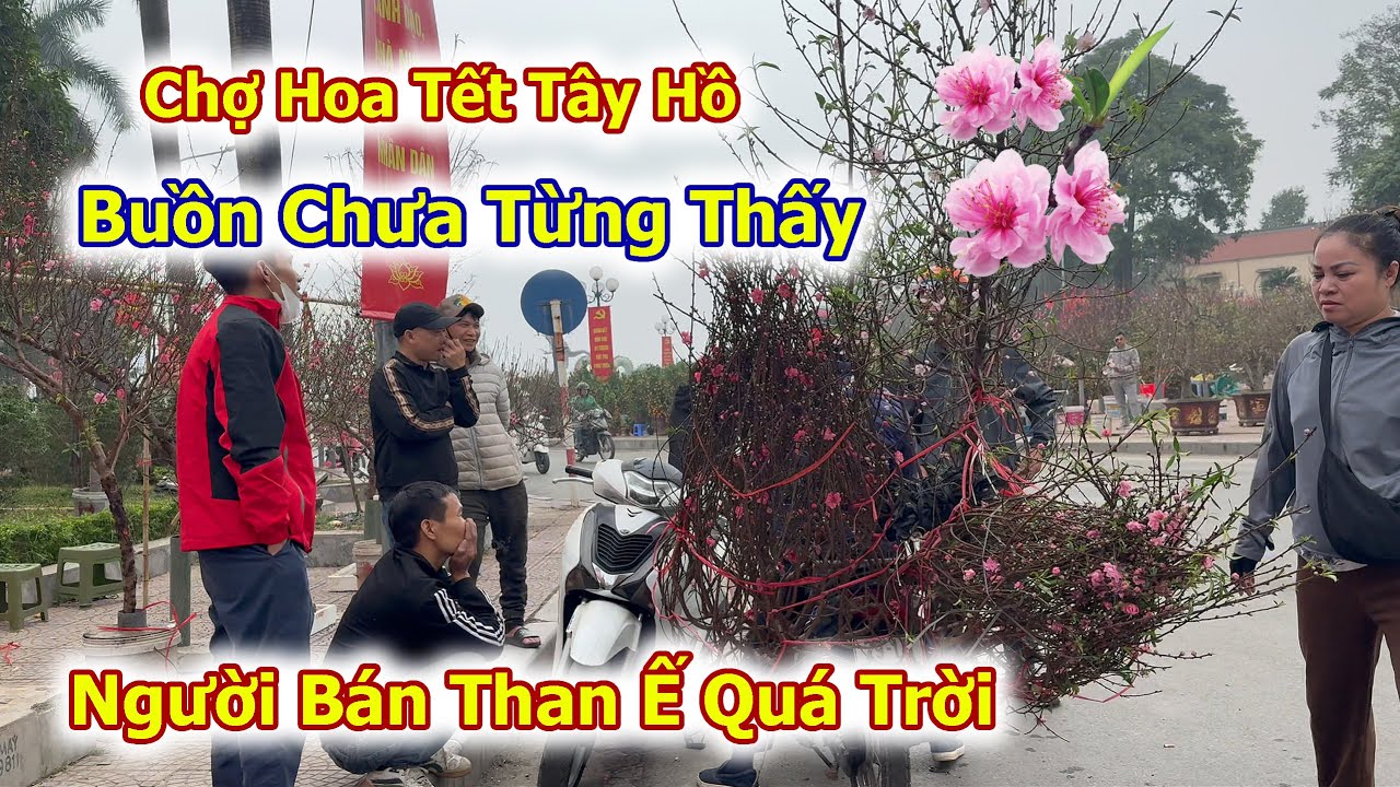 Người Bán Đào Than Ế Quá Trời Cảnh Ảm Đạm Ở Chợ Hoa Tết Tây Hồ