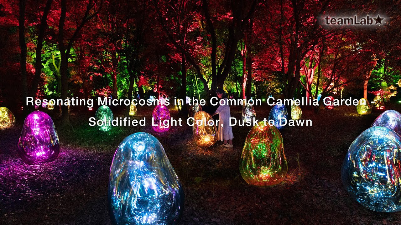 Resonating Microcosms in the Common Camellia Garden - Solidified Light Color, Dusk to Dawn