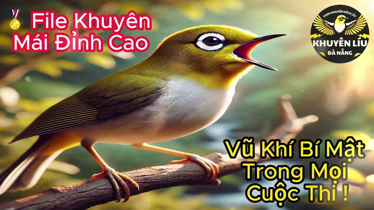 🏅 File Khuy&ecirc;n M&aacute;i Đỉnh Cao &ndash; B&iacute; quyết gi&uacute;p chim l&ecirc;n đỉnh phong độ!