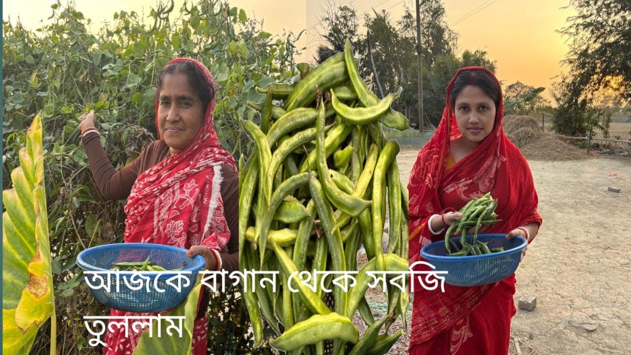 আজকে বাগান থেকে সবজি তুললাম। 