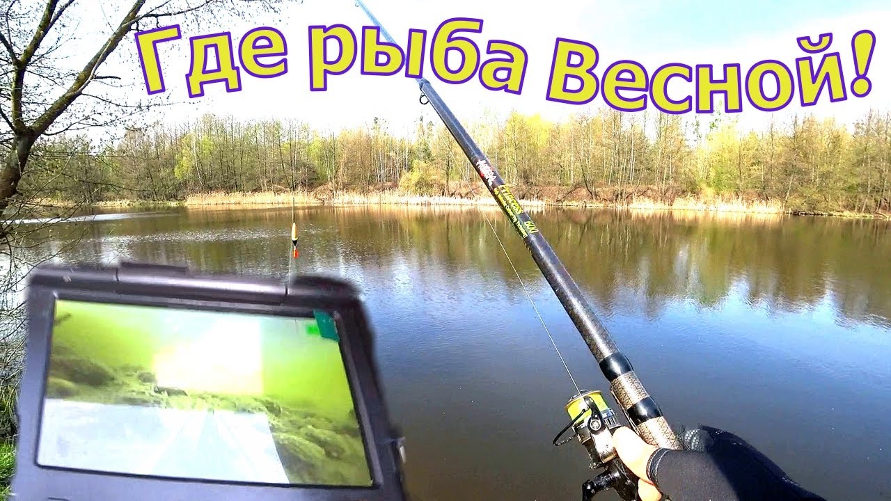 Если бы не подводная камера не поверил бы. Рыбалка в Апреле на Донку и полавок.