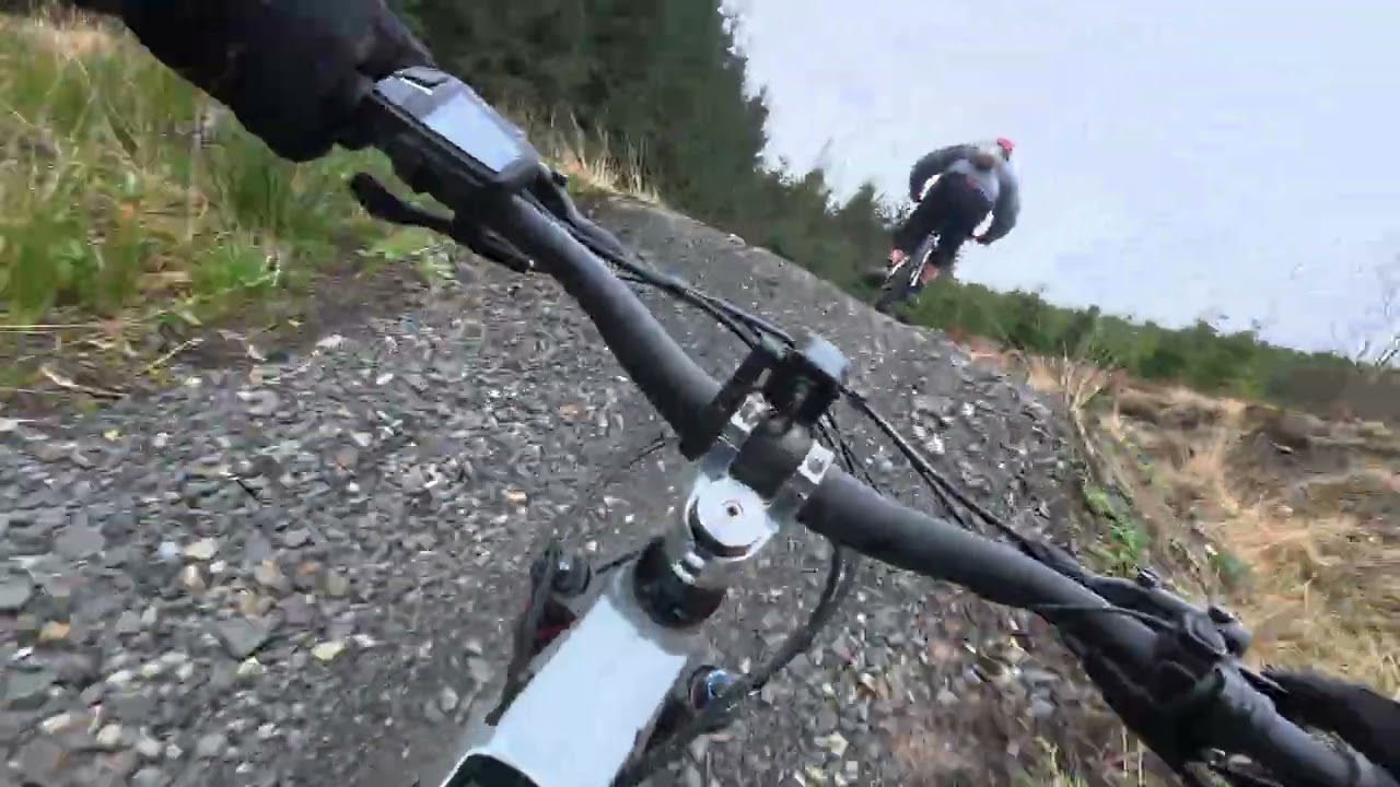 Kielder Forest Deadwater Mile Down Trail. X2 