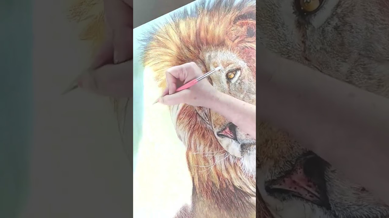 Como dibujar pelaje de animal.