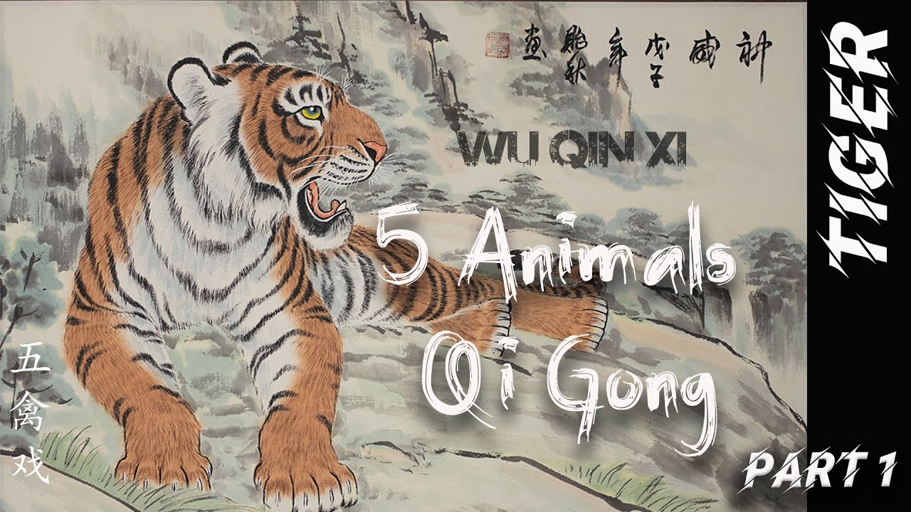5 animals qigong wu qin xi Цигун Игры 5 зверей