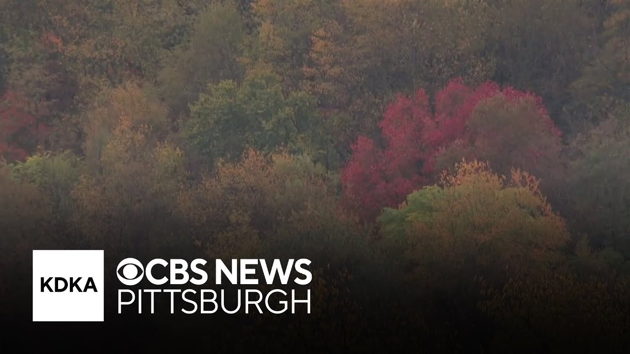 The best time to see Pennsylvania's fall foliage