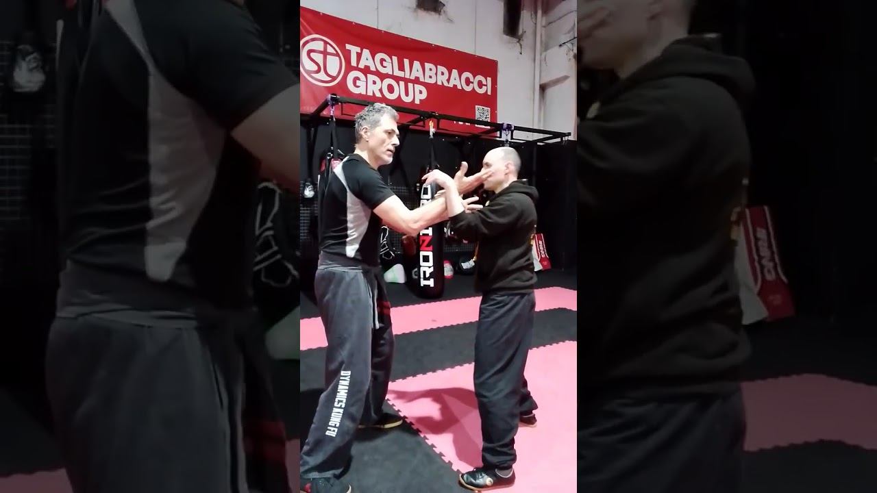 Chi Sao - Dynamcs Kung Fu 