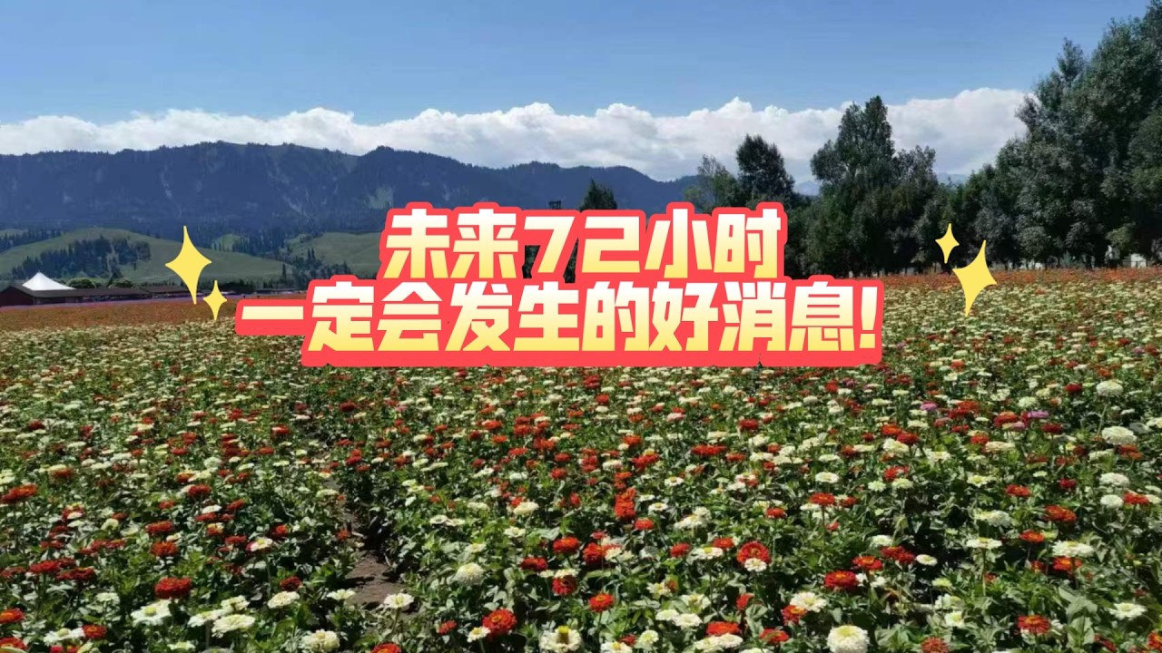 塔羅占卜: 未来72小时一定会发生的好消息！（不限关系 不限时空）