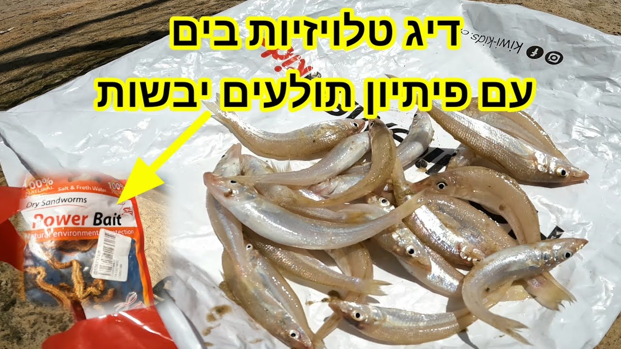 דיג טלויזיות בים התיכון עם תולעים יבשות פשוט פיתיון מצוין