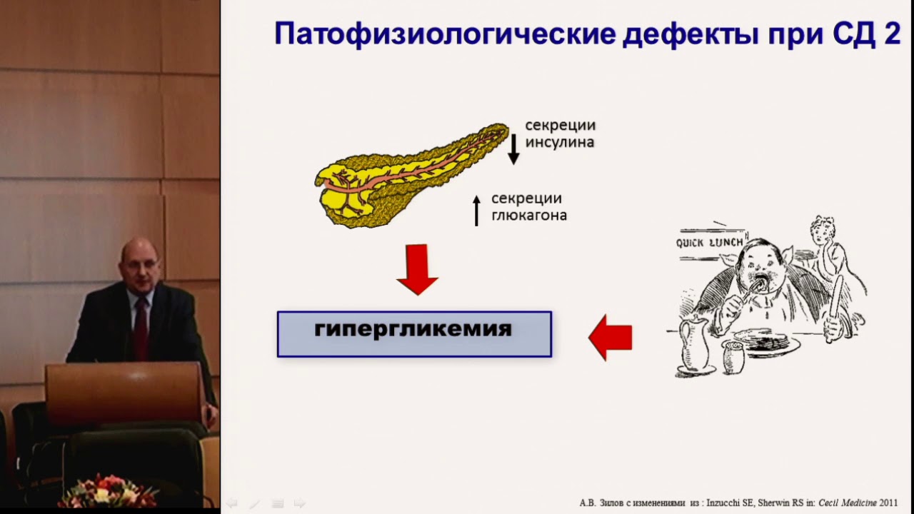 Зилов А.В. Стратегия применения метформина в повседневной практике. Рекомендации и руководства