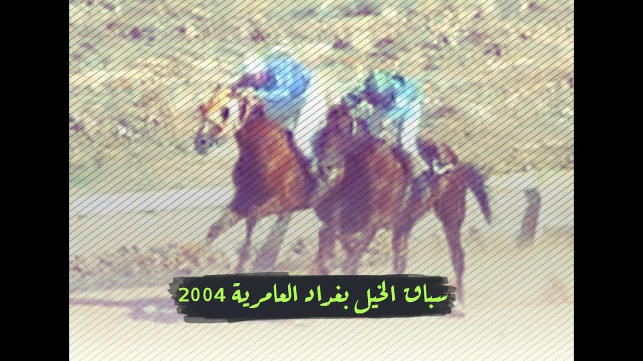 سباق الخيل العامرية | وليد رستم | موسم 2003 - 2004